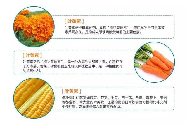 1735387901124311.jpg 总结.jpg