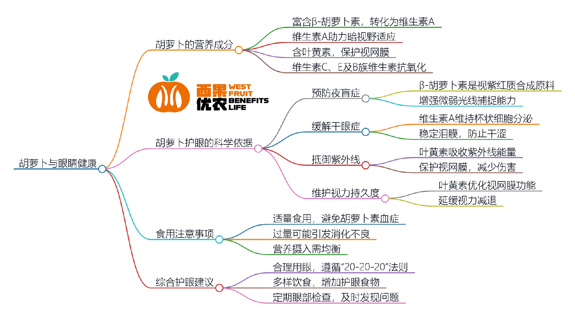 1735388639212279.jpg 思维导图.jpg